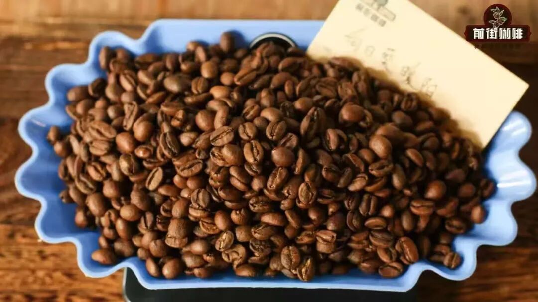 Beginner's Guide to Buying Coffee Beans: Single-Origin vs Blends, Roast Level Selection, and Storage Tips