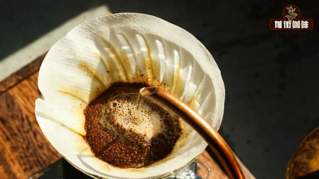 Complete Guide to Tetsu Kasuya's Hybrid Pour Over Method | Champion-Improved Brewing Techniques and Flavor Enhancement Guide