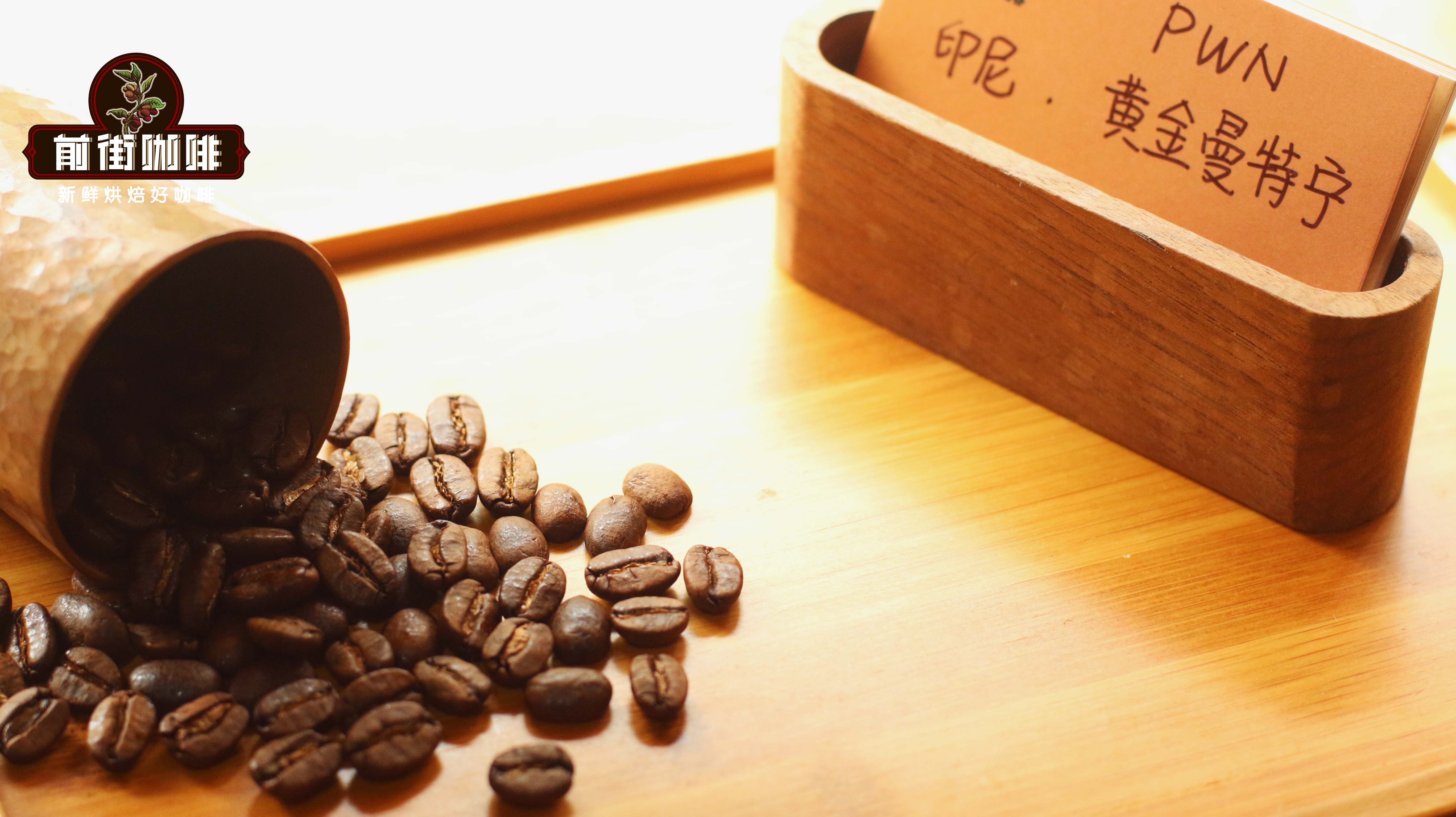 How to Choose SOE Coffee Beans? What's the Difference from Single-Origin Coffee? 4 Highly-Rated SOEs Recommended