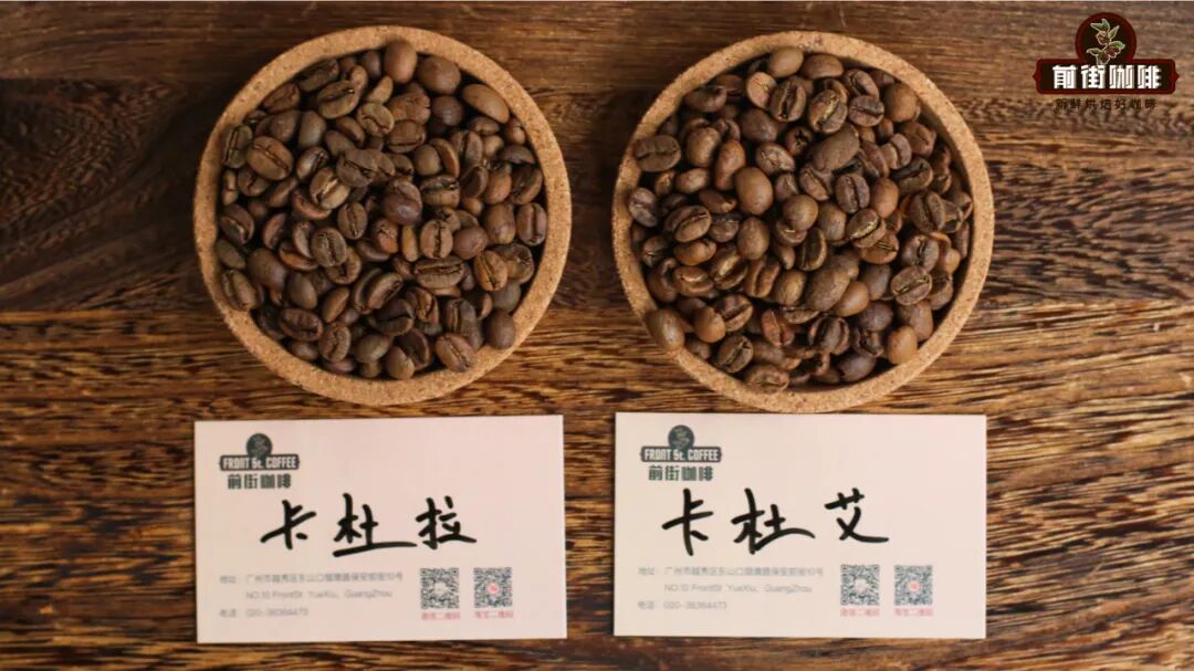 What’s the difference between Caturra and Catuai coffee beans? A comprehensive analysis of flavor profiles and growing advantages