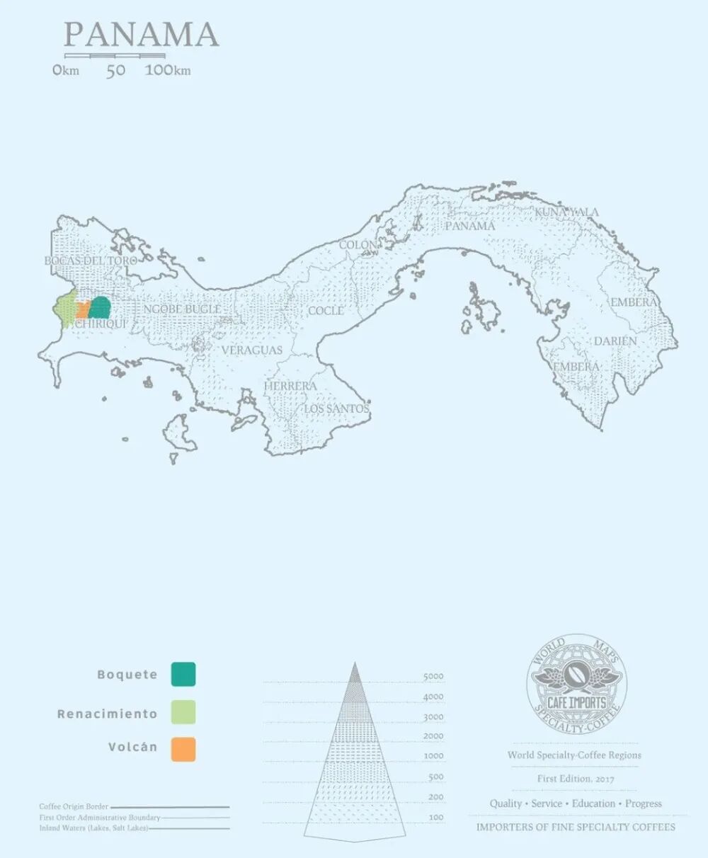 A Beginner's Guide to Panamanian Coffee Beans | Exploring the Conditions of the Boquete Region and Premium Varieties