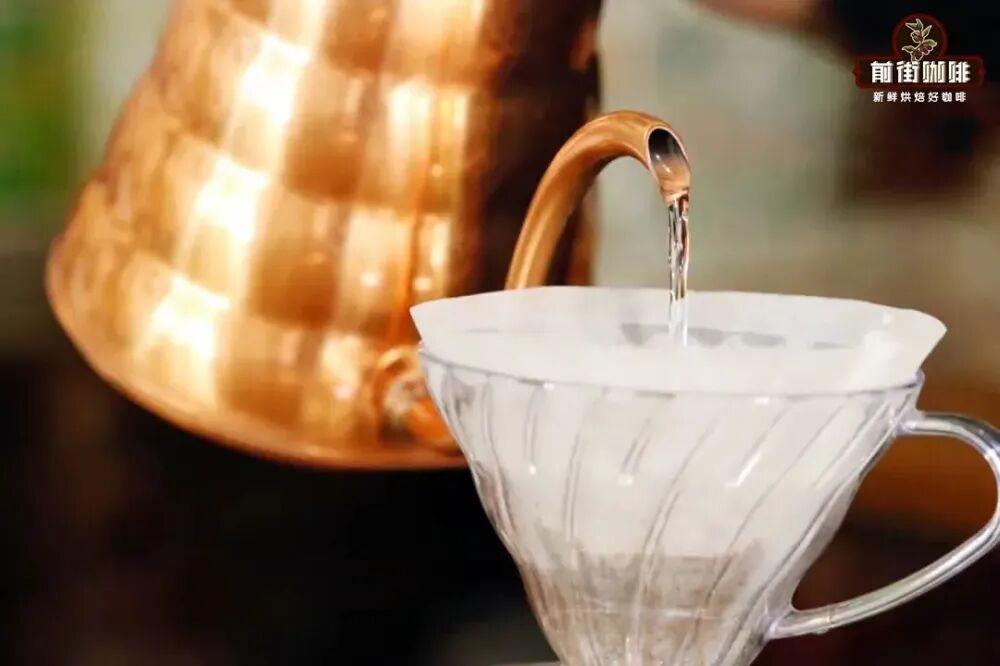 Complete Guide to Yirgacheffe Coffee Beans: Sun-Dried vs Washed Processing Methods and Brewing Parameters