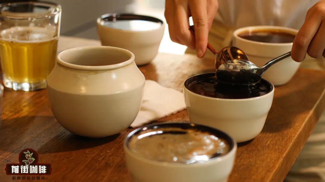 How to brew Bolivian coffee beans? A complete analysis of the reasons for their scarce production and brewing parameters