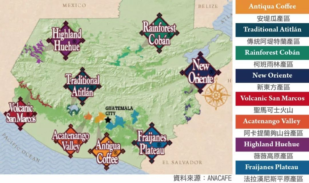 Guatemalan Coffee Beans Explained | Where Does the Smoky Flavor Come From? A Complete Guide to Pour Over Flavors and Regional Differences