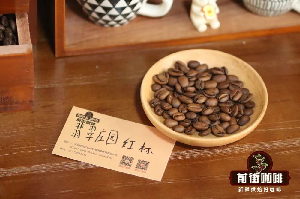 French Press Brewing of Geisha | A Comprehensive Analysis of Regional Flavor Variations and Beginner-Friendly Brewing Parameters