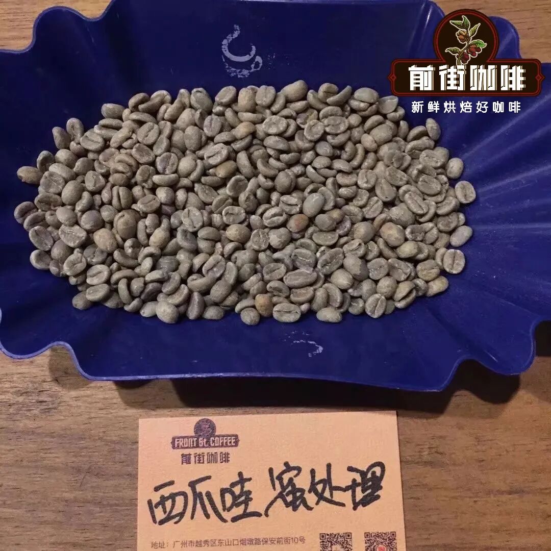 Analysis of Three Famous Indonesian Coffee Beans | Master Their Flavor Profiles and Brewing Recommendations in One Go