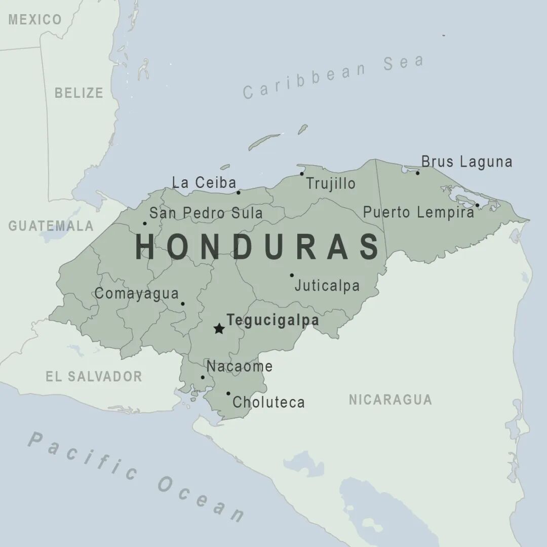 A Complete Guide to Honduras Coffee Regions | Flavors, Grades, and Brewing Recommendations of Six Major Areas