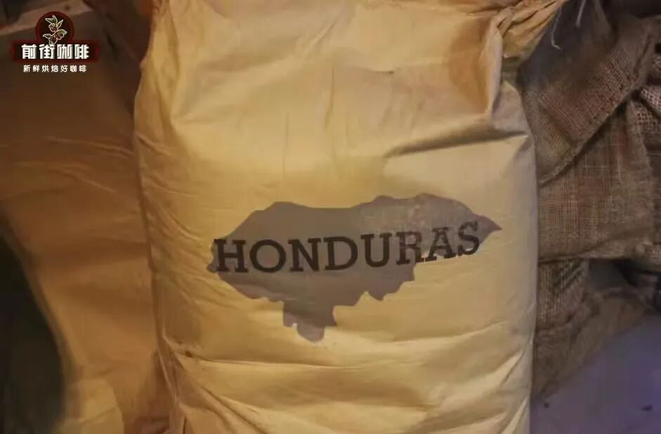 A Complete Guide to Honduras Coffee Regions | Flavors, Grades, and Brewing Recommendations of Six Major Areas