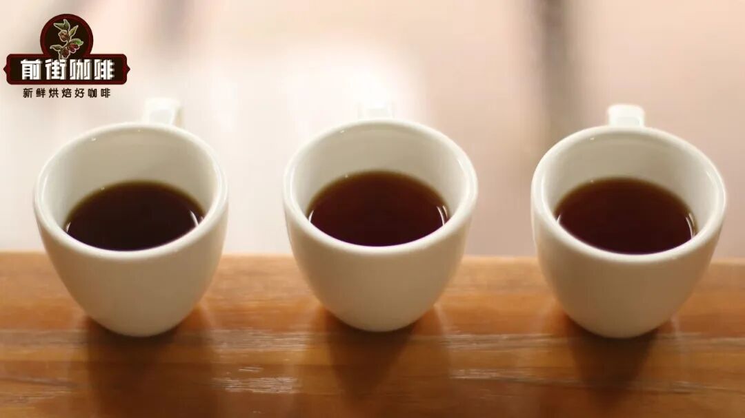 A Complete Guide to Honduras Coffee Regions | Flavors, Grades, and Brewing Recommendations of Six Major Areas