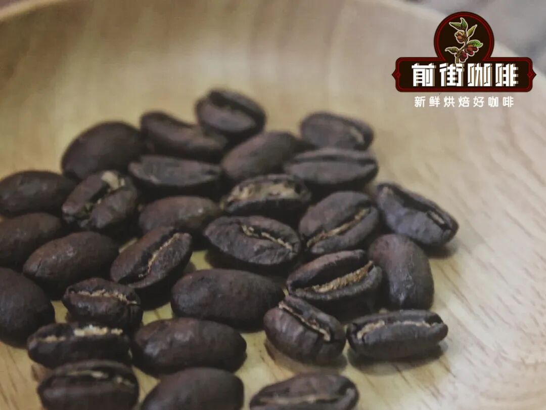 A Complete Guide to Honduras Coffee Regions | Flavors, Grades, and Brewing Recommendations of Six Major Areas