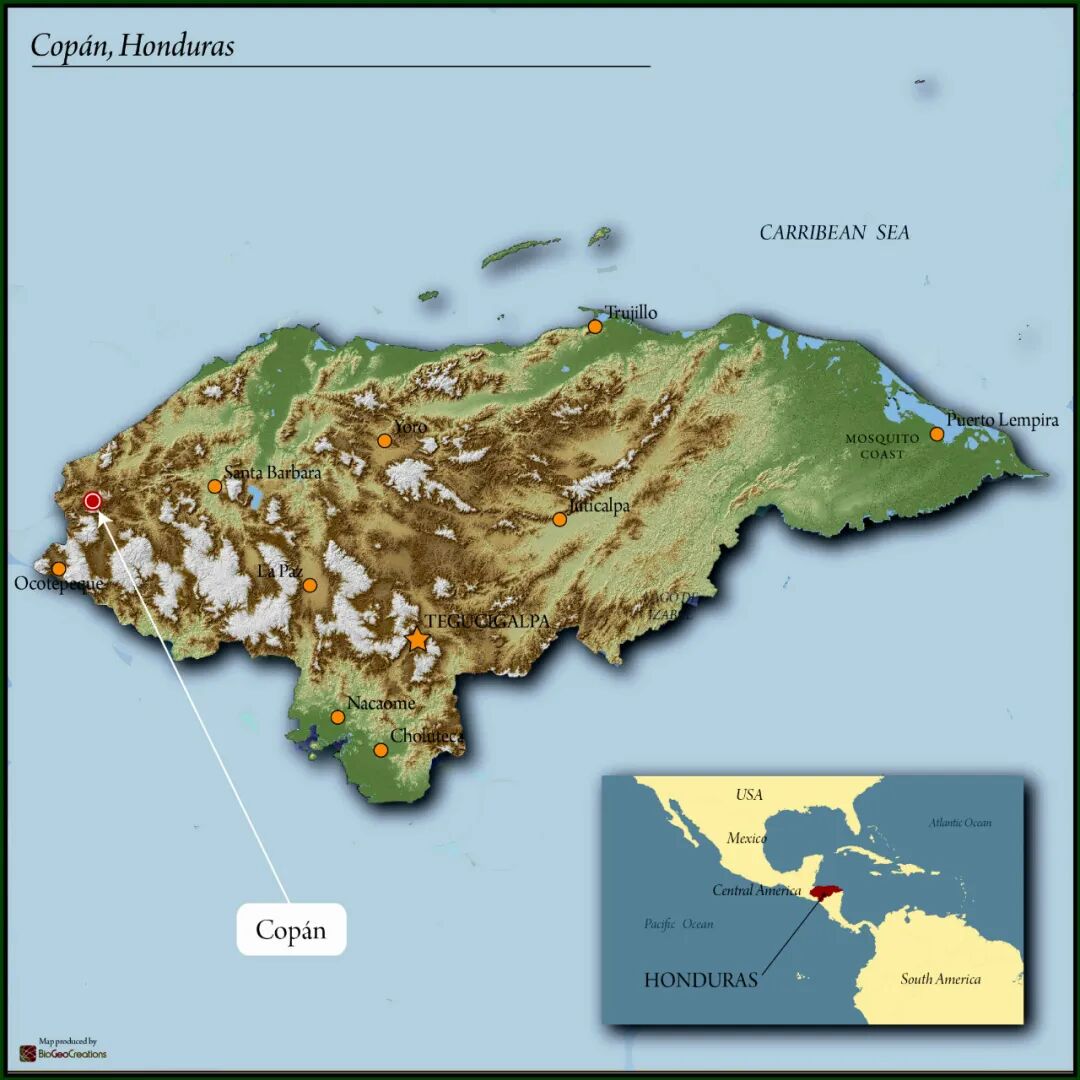A Complete Guide to Honduras Coffee Regions | Flavors, Grades, and Brewing Recommendations of Six Major Areas