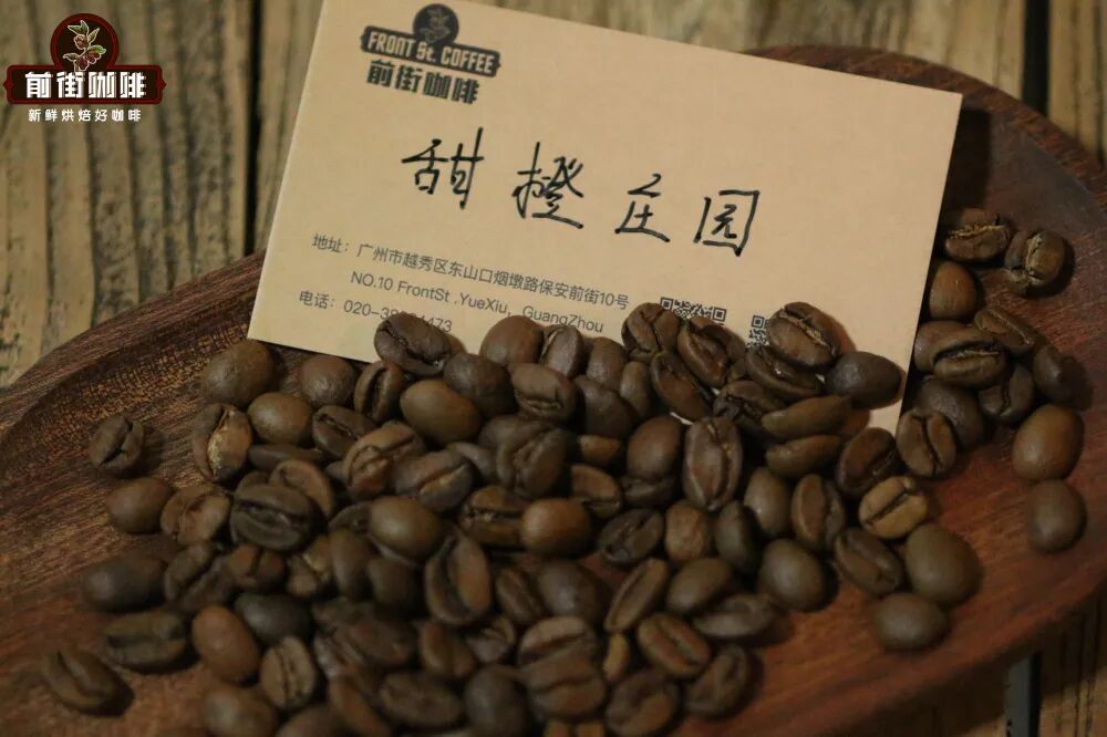 A Complete Guide to Honduras Coffee Regions | Flavors, Grades, and Brewing Recommendations of Six Major Areas