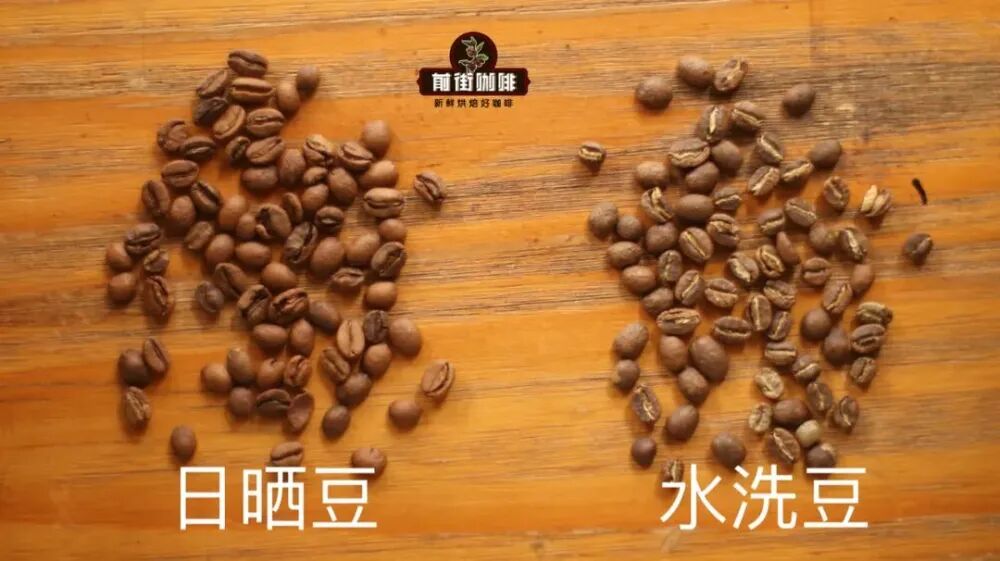A Complete Guide to Arabica vs Robusta Beans: Origins, Flavor, Appearance Differences, and Buying Tips for Beginners