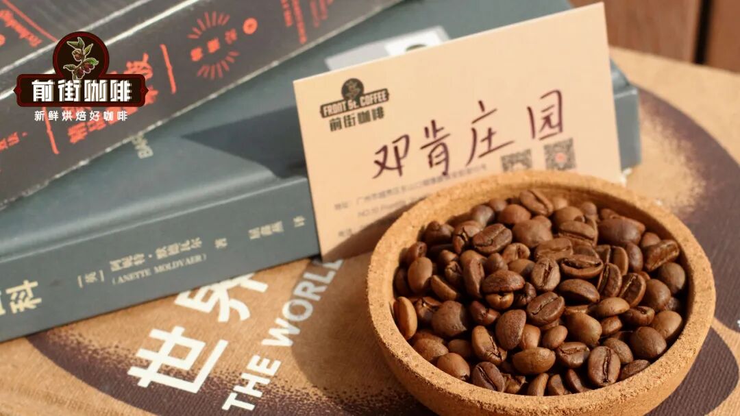 Drip Bags vs Tea-Bag Style Coffee Pods: Which is Better for Hot Brewing and Cold Brew? Extraction Parameters and Flavor Analysis