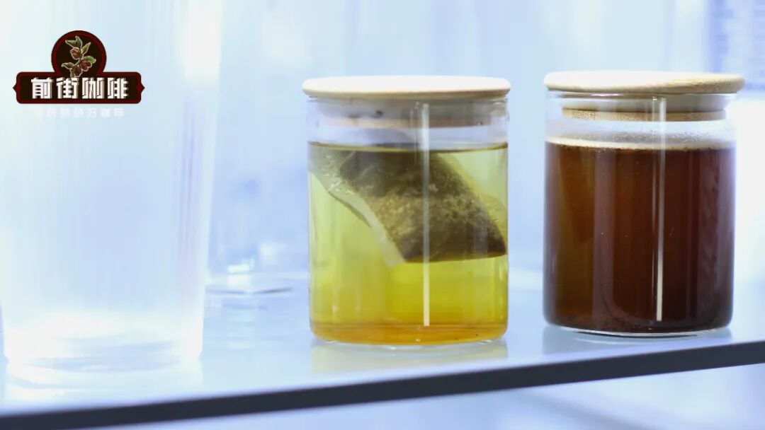 Drip Bags vs Tea-Bag Style Coffee Pods: Which is Better for Hot Brewing and Cold Brew? Extraction Parameters and Flavor Analysis