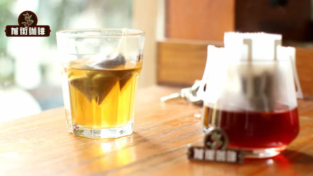 Drip Bags vs Tea-Bag Style Coffee Pods: Which is Better for Hot Brewing and Cold Brew? Extraction Parameters and Flavor Analysis