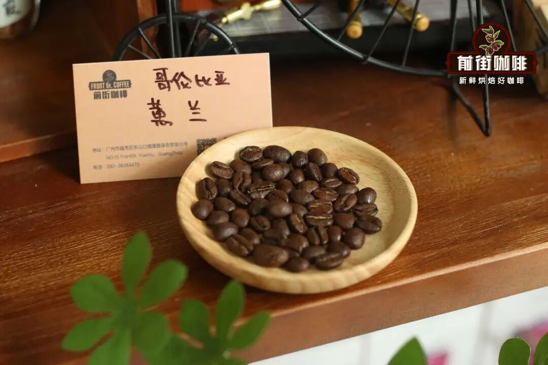 A Comprehensive Guide to Colombian Specialty Coffee Beans: From Regional Characteristics to the Chocolatey Flavor of Huila
