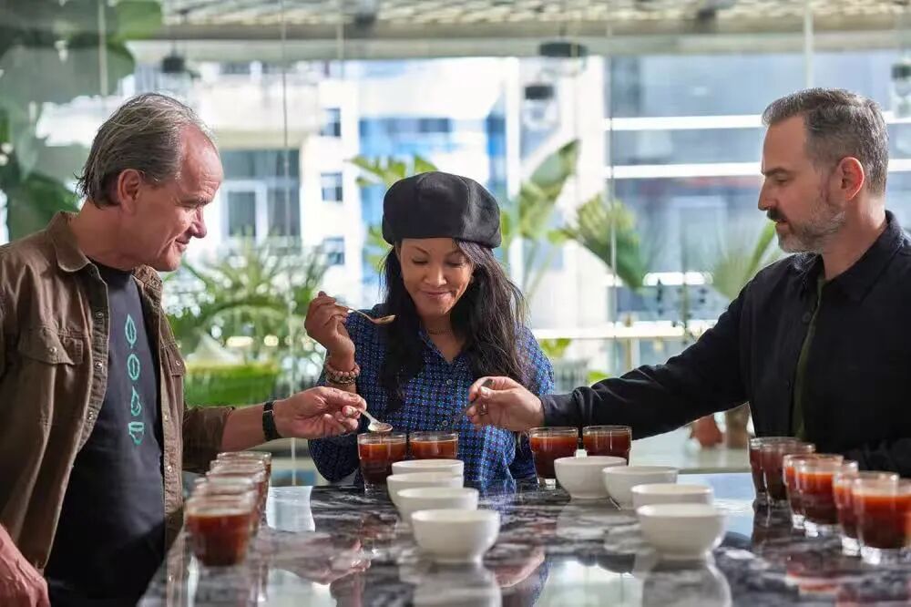 A Complete Guide to Ethiopian Geisha Coffee: From Origin to Grading and Brewing Recommendations