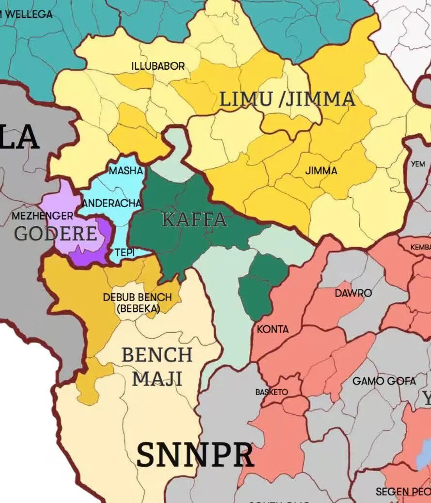 A Complete Guide to Ethiopian Geisha Coffee: From Origin to Grading and Brewing Recommendations