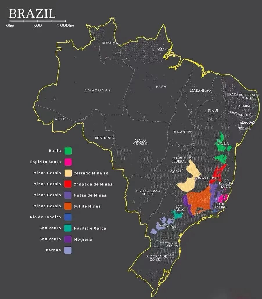 A Complete Guide to Brazilian Coffee Regions | Flavors, Grading, Processing Methods, and Pour Over Recommendations