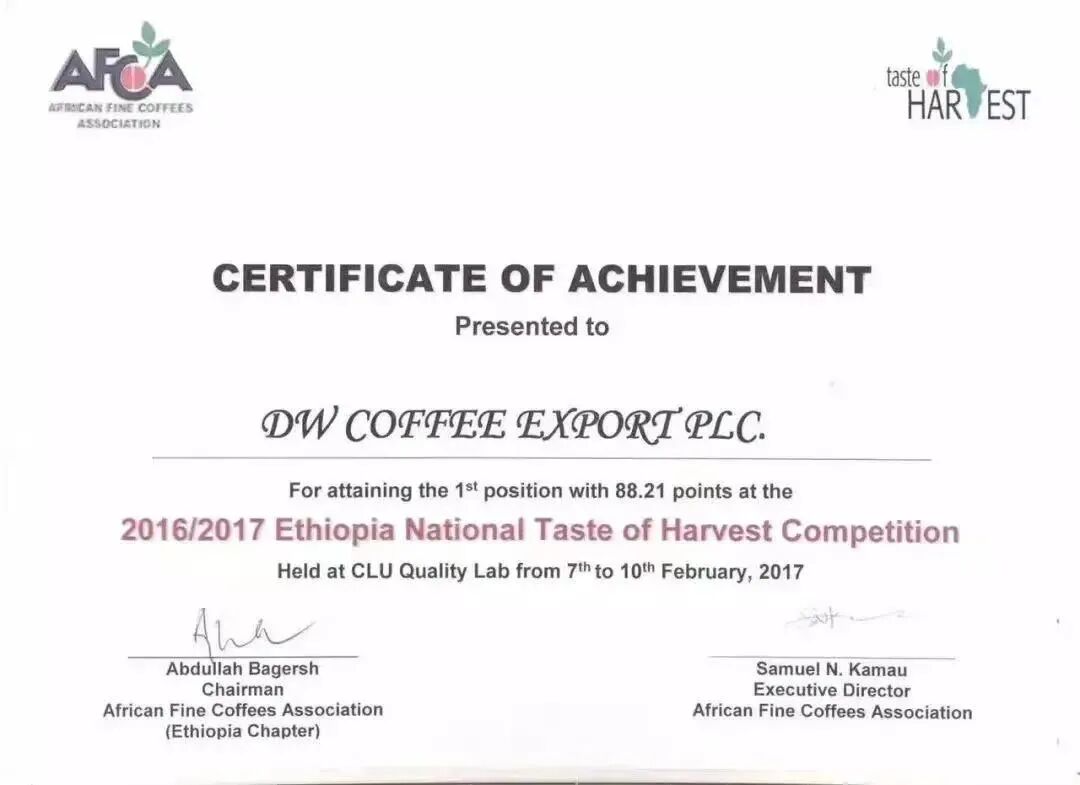 Complete Guide to Ethiopian Huaca Coffee Beans: Flavor Profile of the Guji-Hambela Region and Version Evolution