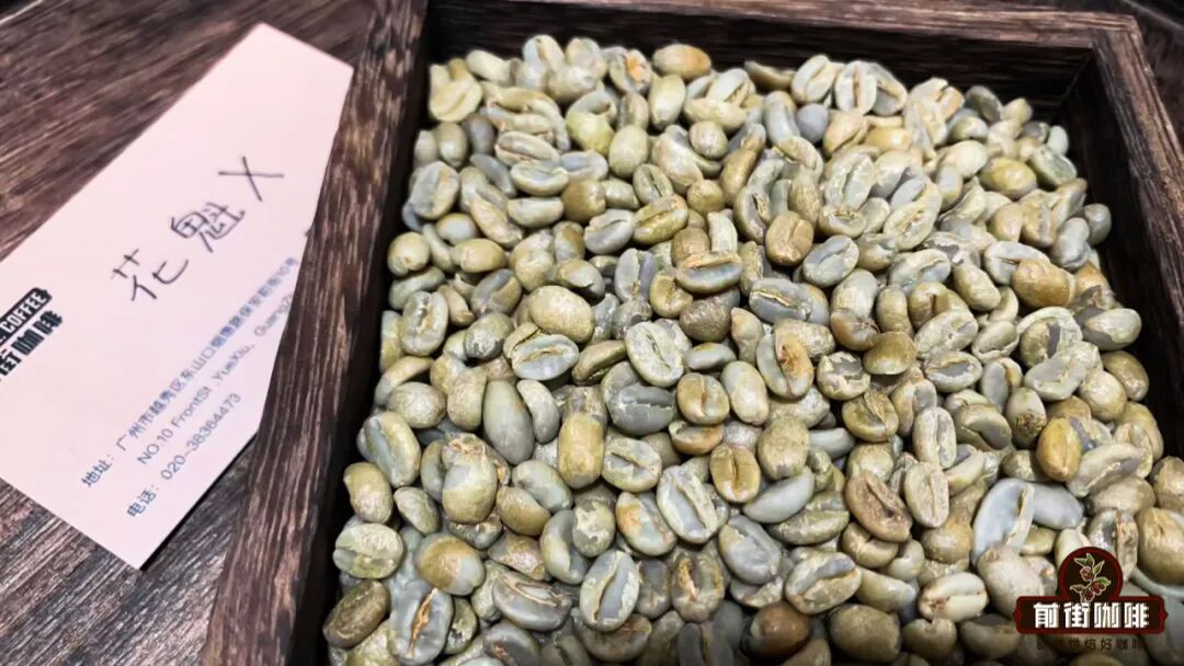 Complete Guide to Ethiopian Huaca Coffee Beans: Flavor Profile of the Guji-Hambela Region and Version Evolution