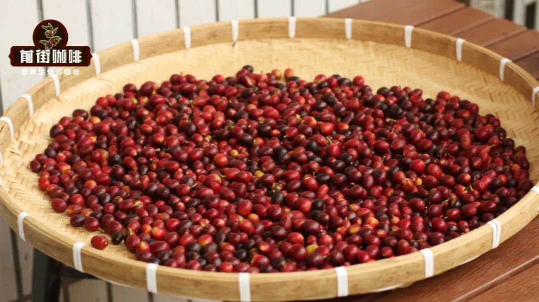 Pour Over Coffee Bean Blending Guide: Do More Varieties Mean Better Flavor? Professional Analysis of Blending Essentials