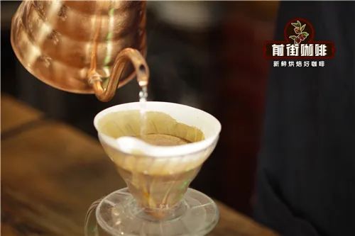 How to Choose the Water Temperature for Pour Over Coffee? Optimal Brewing Temperatures for Medium-Light to Medium-Dark Roasts