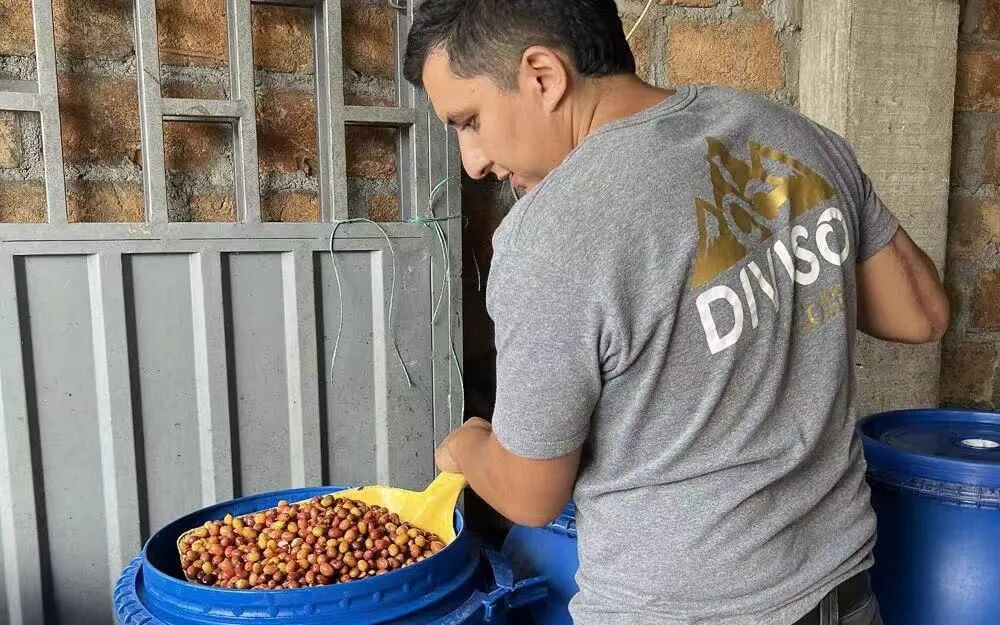 A Complete Guide to Colombia Medellín Supremo Coffee: Varietal Characteristics, Regional Flavors, and Pour Over Parameters