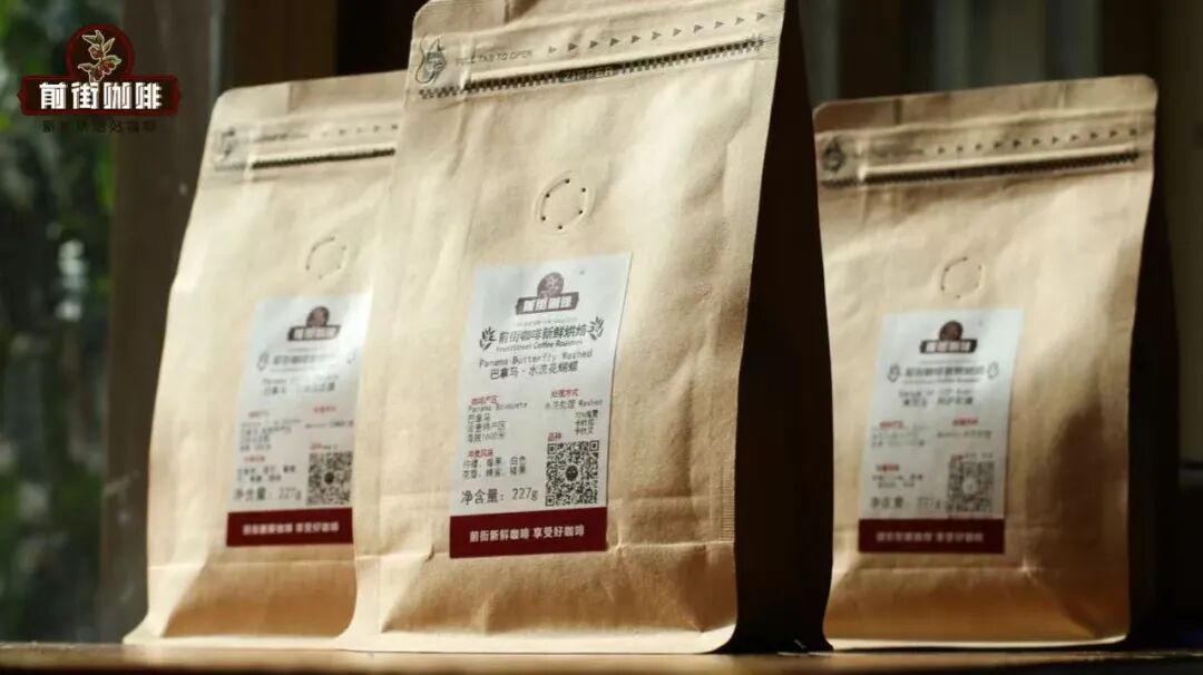 Essential for Coffee Beginners: From Processing Methods to Roast Levels, Learn How to Choose Your Favorite Flavor Beans