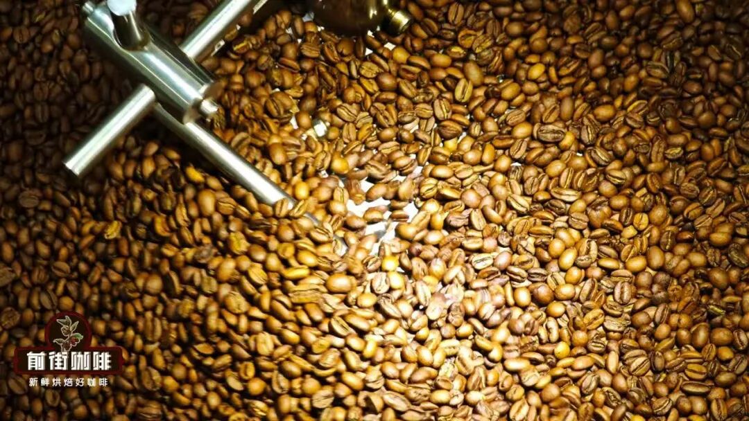 Essential for Coffee Beginners: From Processing Methods to Roast Levels, Learn How to Choose Your Favorite Flavor Beans