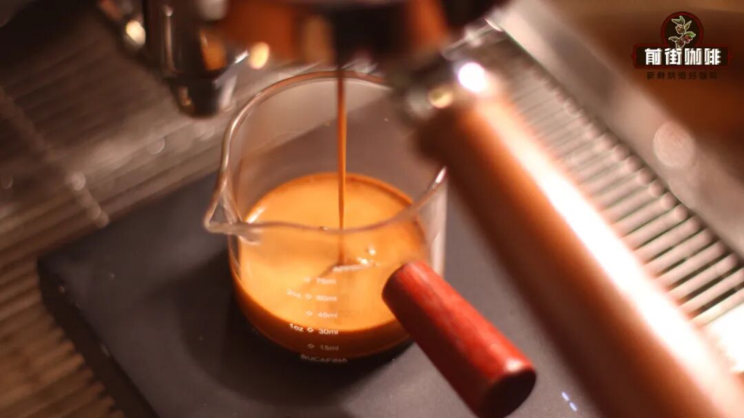 Essential for Coffee Beginners: From Processing Methods to Roast Levels, Learn How to Choose Your Favorite Flavor Beans