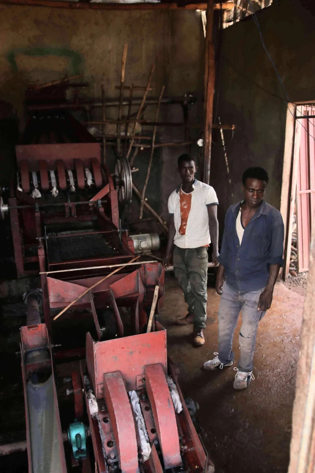 Analysis of Ethiopia's Simon Special Processing Method | How Bag Fermentation Affects Coffee Flavor?