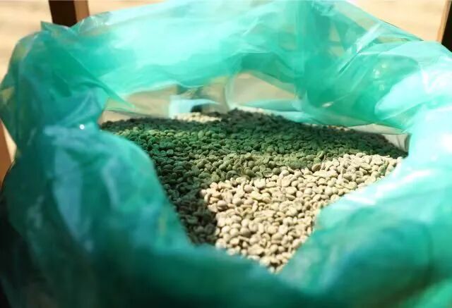 Analysis of Ethiopia's Simon Special Processing Method | How Bag Fermentation Affects Coffee Flavor?