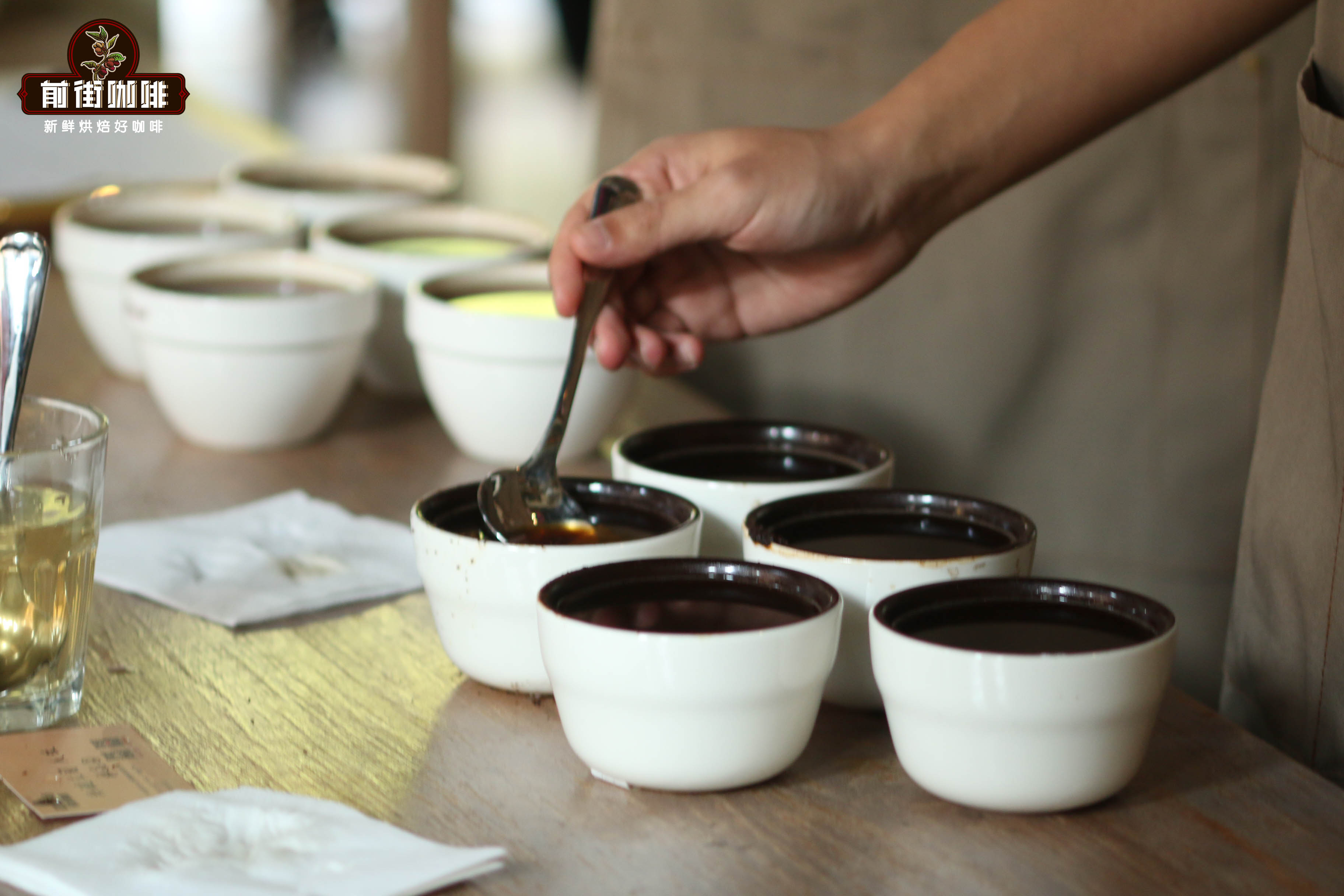 The Ultimate Guide to Coffee Cupping: A Professional Introduction from Steps to Flavor Evaluation