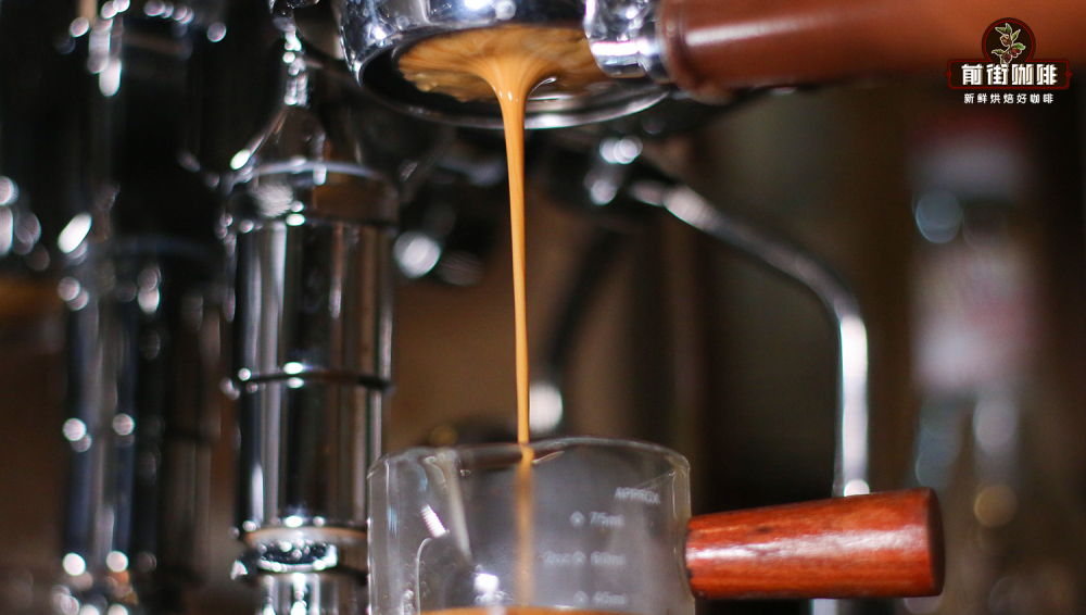 Complete Guide to Making Espresso | Flavor Analysis & Proper Tasting Methods (with Extraction Parameters)