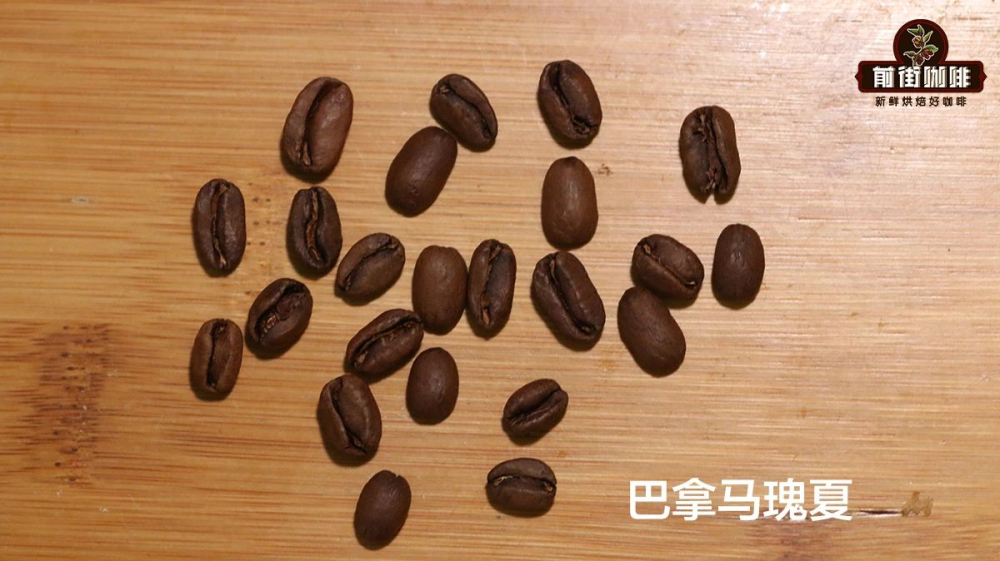 Ethiopian Huacai Coffee Beans Flavor Analysis | How Is It Different from Geisha? Sun-Dried Processing Characteristics and Brewing Suggestions