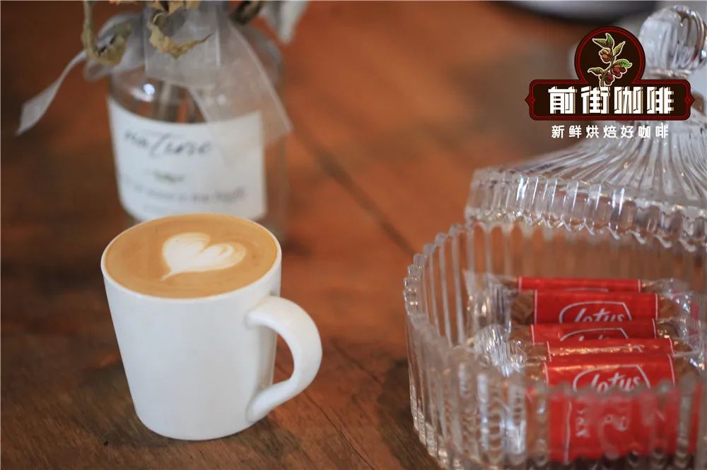 Short Pitch Coffee Flavor Analysis and Brewing Secrets | A Complete Guide from Ristretto to Latte Art