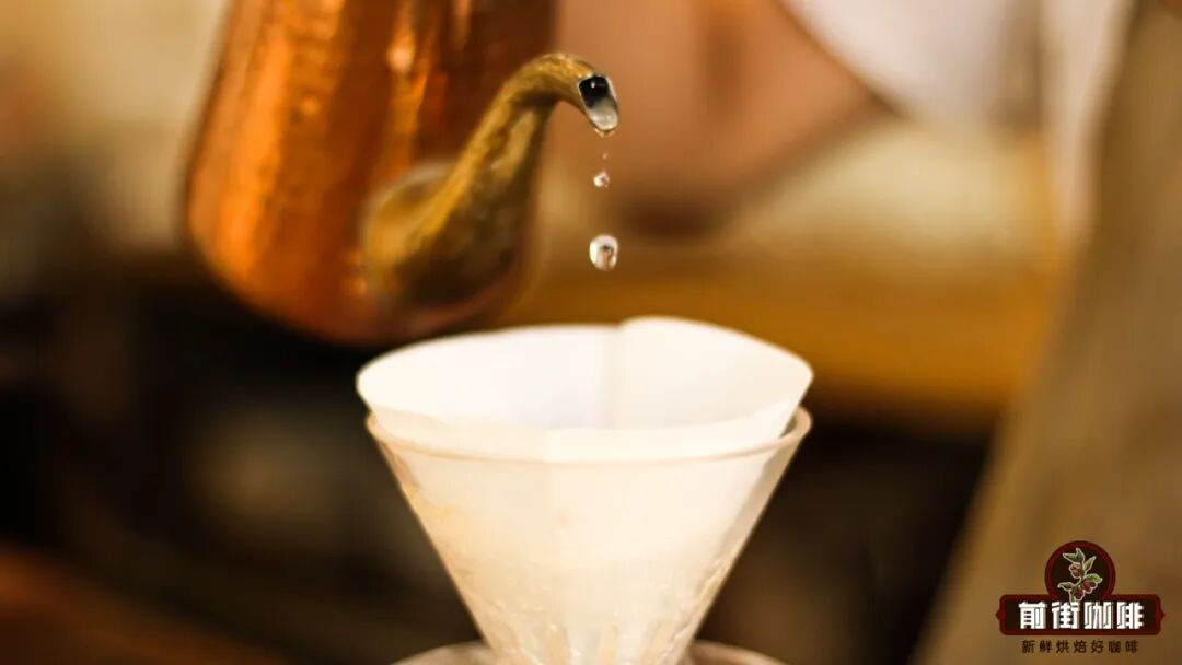 Best for Dark Roast Coffee: A Complete Guide to Pour Over Drip Method & Ideal Bean Pairings