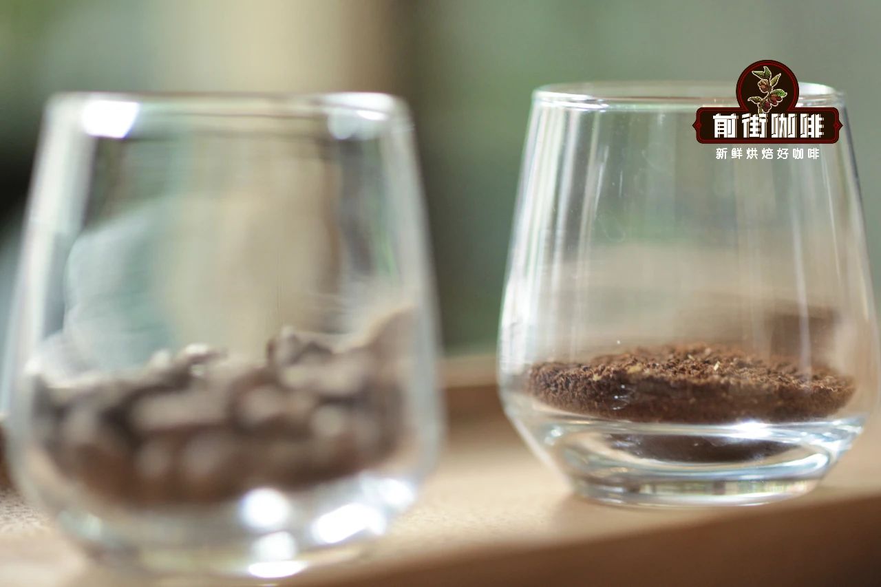 Introduction to Coffee Flavor Tasting | How Beginners Can Train Their Senses to Describe Coffee Aroma and Taste?