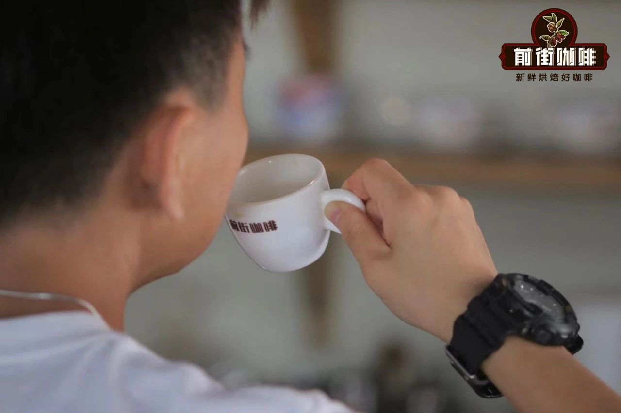 Introduction to Coffee Flavor Tasting | How Beginners Can Train Their Senses to Describe Coffee Aroma and Taste?