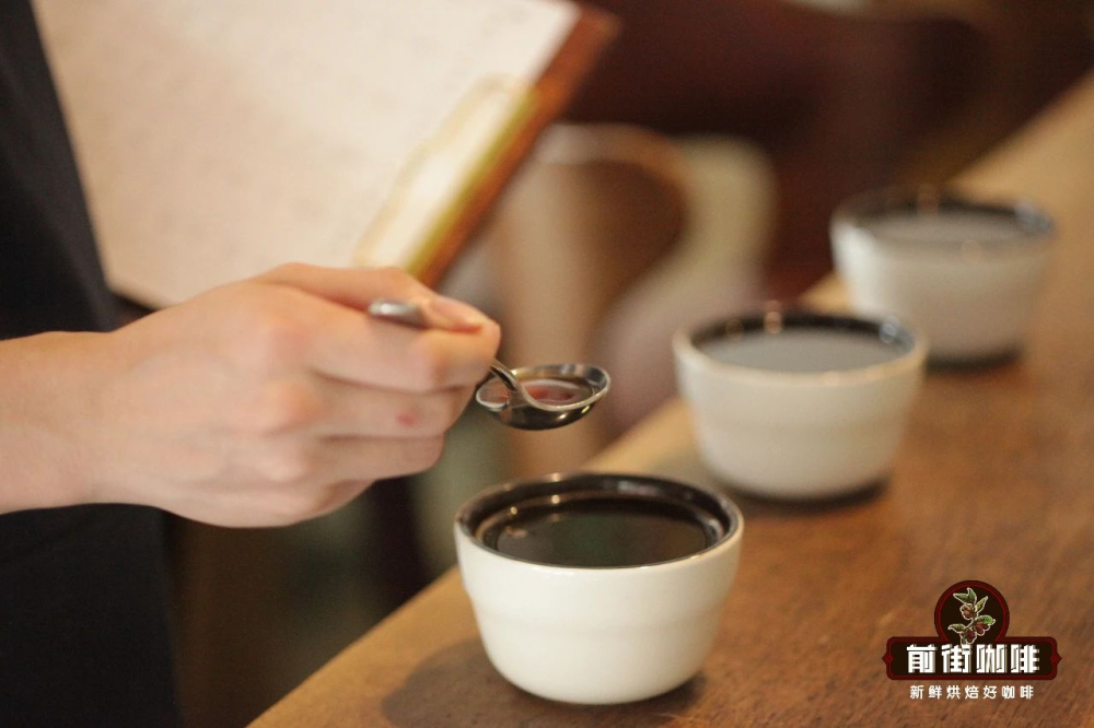 Introduction to Coffee Flavor Tasting | How Beginners Can Train Their Senses to Describe Coffee Aroma and Taste?