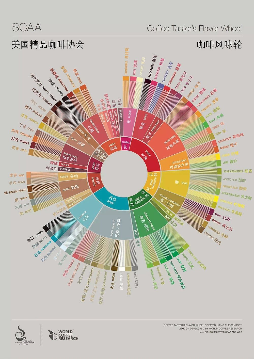 Introduction to Coffee Flavor Tasting | How Beginners Can Train Their Senses to Describe Coffee Aroma and Taste?