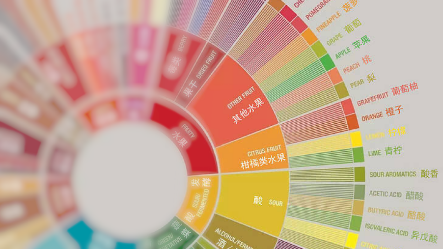 A Comprehensive Guide to the Coffee Taster’s Flavor Wheel: From the 2016 SCAA Version to Localized Application and Tasting Techniques