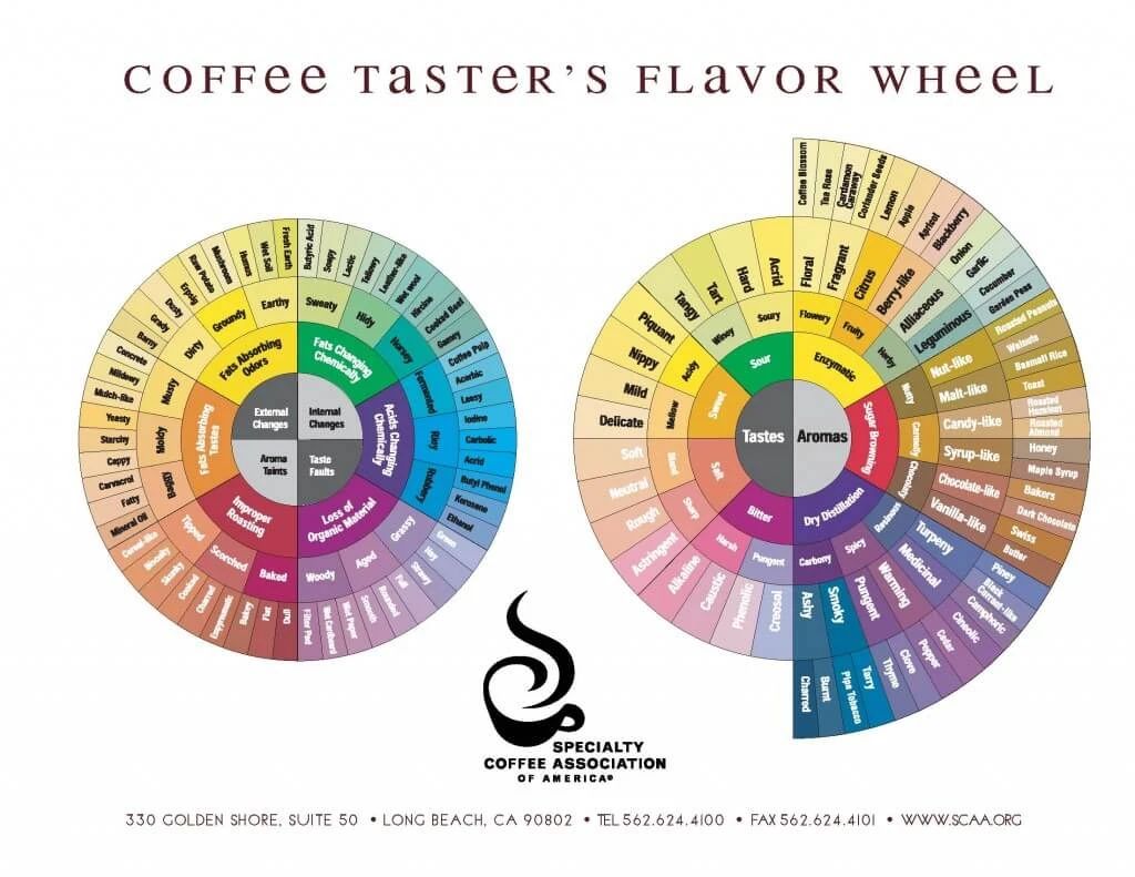 A Comprehensive Guide to the Coffee Taster’s Flavor Wheel: From the 2016 SCAA Version to Localized Application and Tasting Techniques