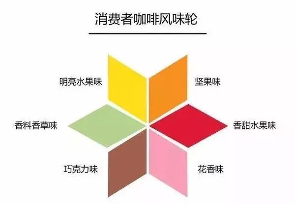 A Comprehensive Guide to the Coffee Taster’s Flavor Wheel: From the 2016 SCAA Version to Localized Application and Tasting Techniques