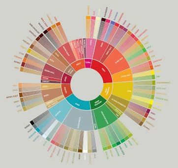 A Comprehensive Guide to the Coffee Taster’s Flavor Wheel: From the 2016 SCAA Version to Localized Application and Tasting Techniques