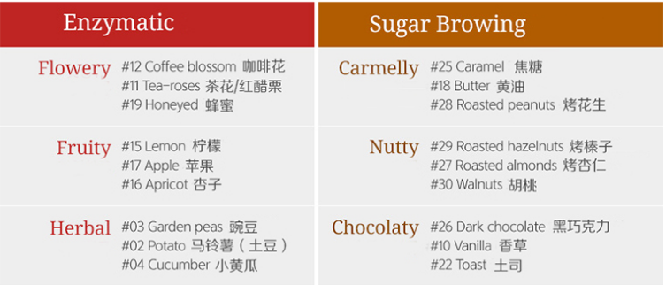 Beginner's Guide to Coffee Flavor Training | From Aroma Kits to Building a Sensory System, How Do New Coffee Drinkers Practice?