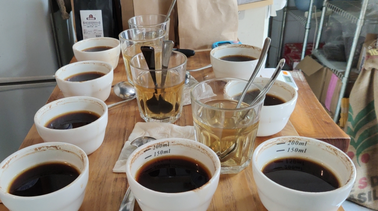 Beginner's Guide to Coffee Flavor Training | From Aroma Kits to Building a Sensory System, How Do New Coffee Drinkers Practice?