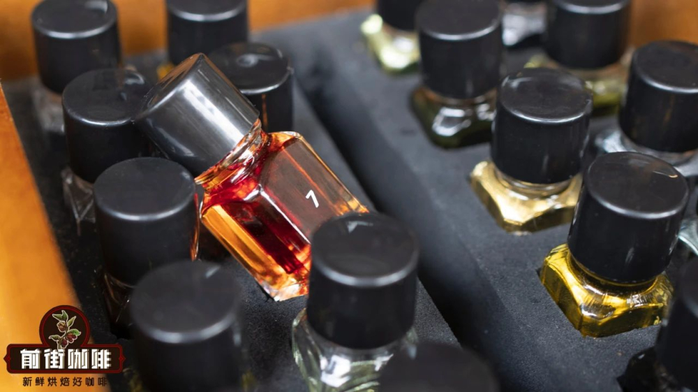 Beginner's Guide to Coffee Flavor Training | From Aroma Kits to Building a Sensory System, How Do New Coffee Drinkers Practice?
